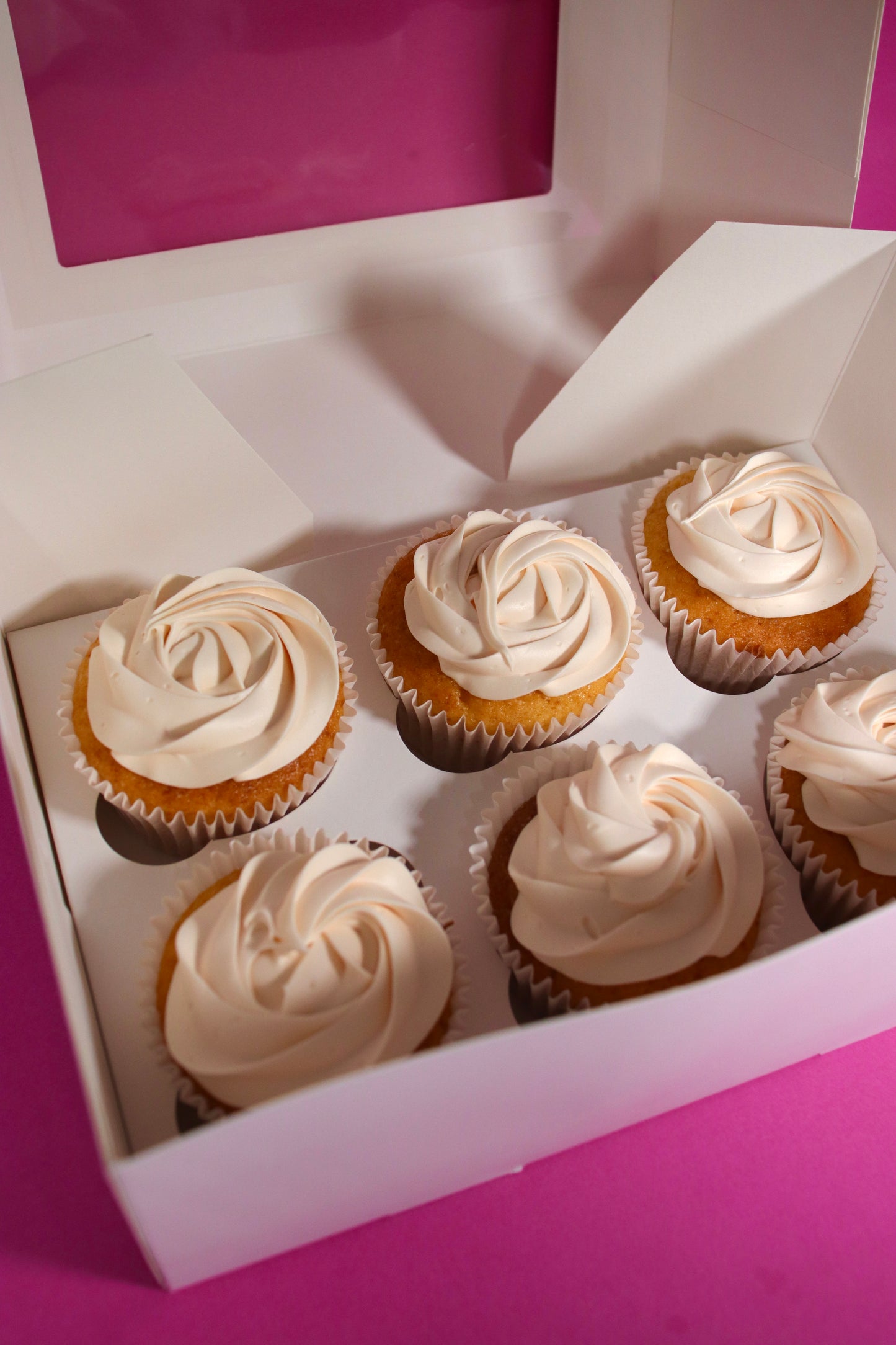 Plain Cupcakes