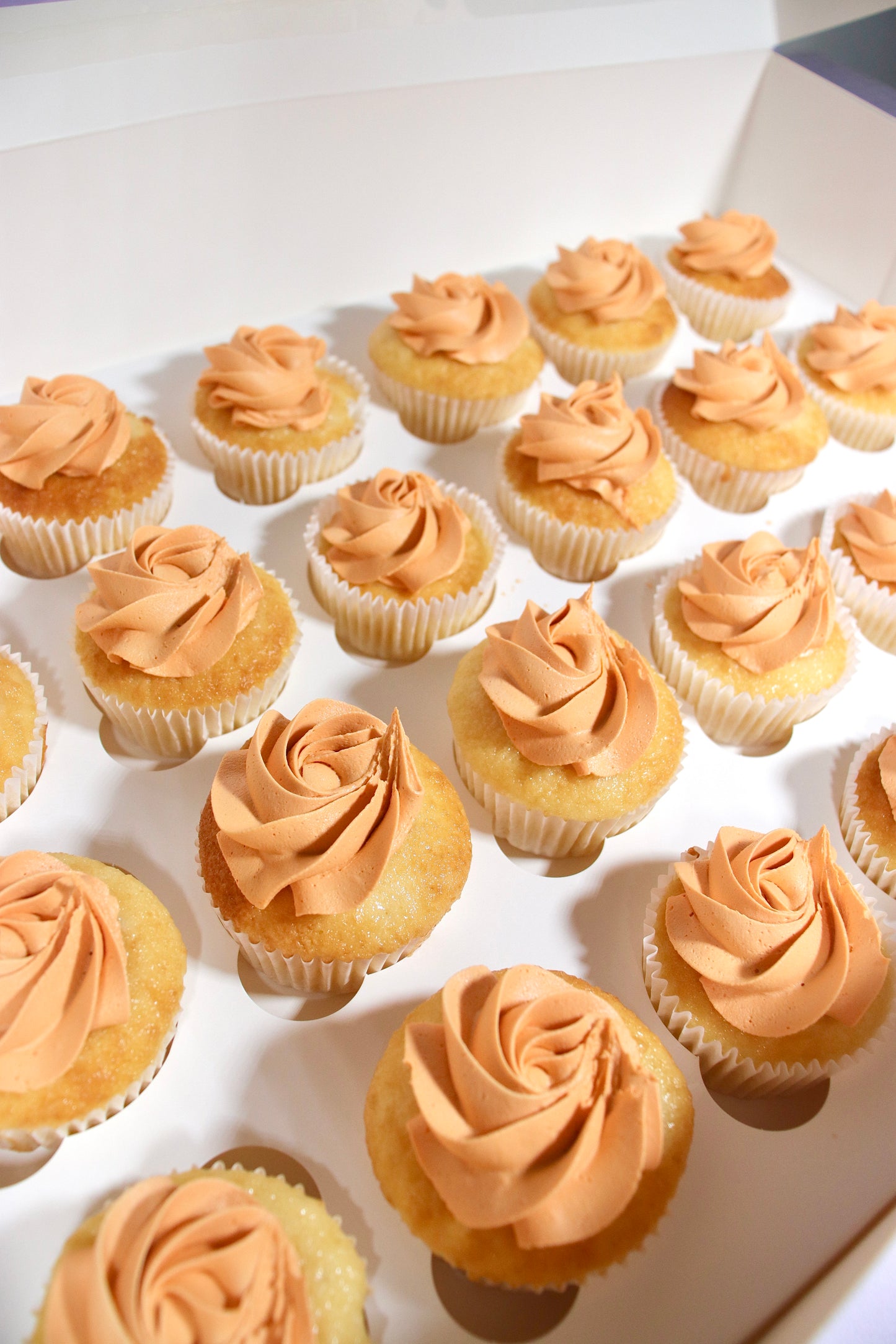 Plain Cupcakes