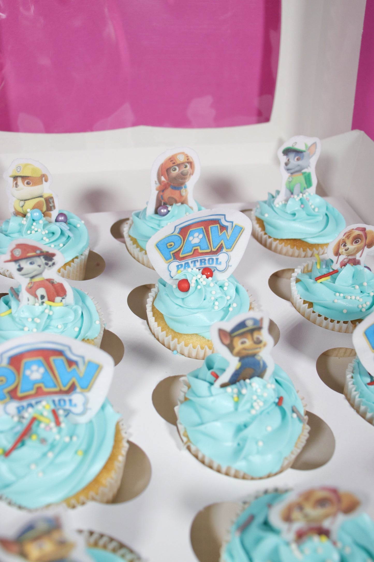 Paw patrol cupcakes